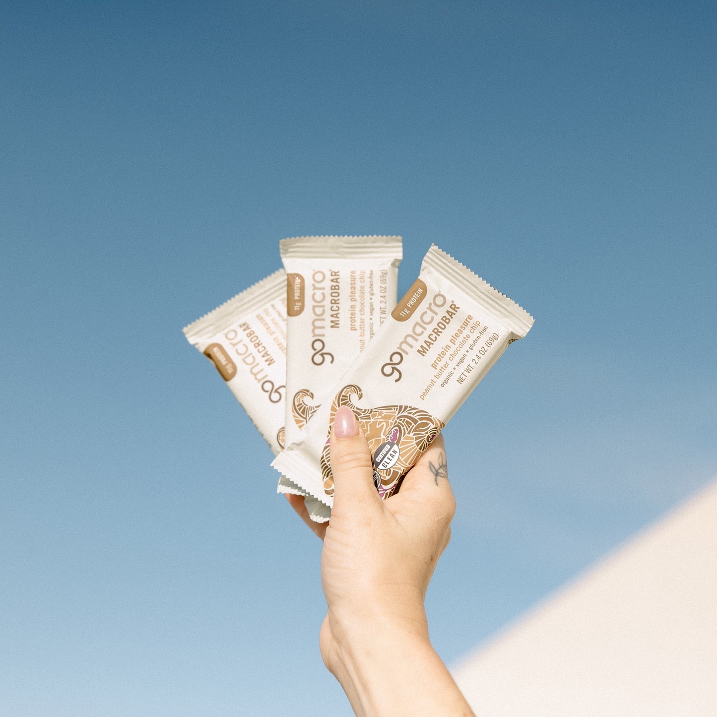 Macrobar - Organic Vegan Protein Bars - Peanut Butter Chocolate Chip (4 Count)