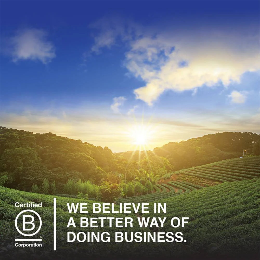 Dr. Formulated Probiotics Mood+, 60 Capsules