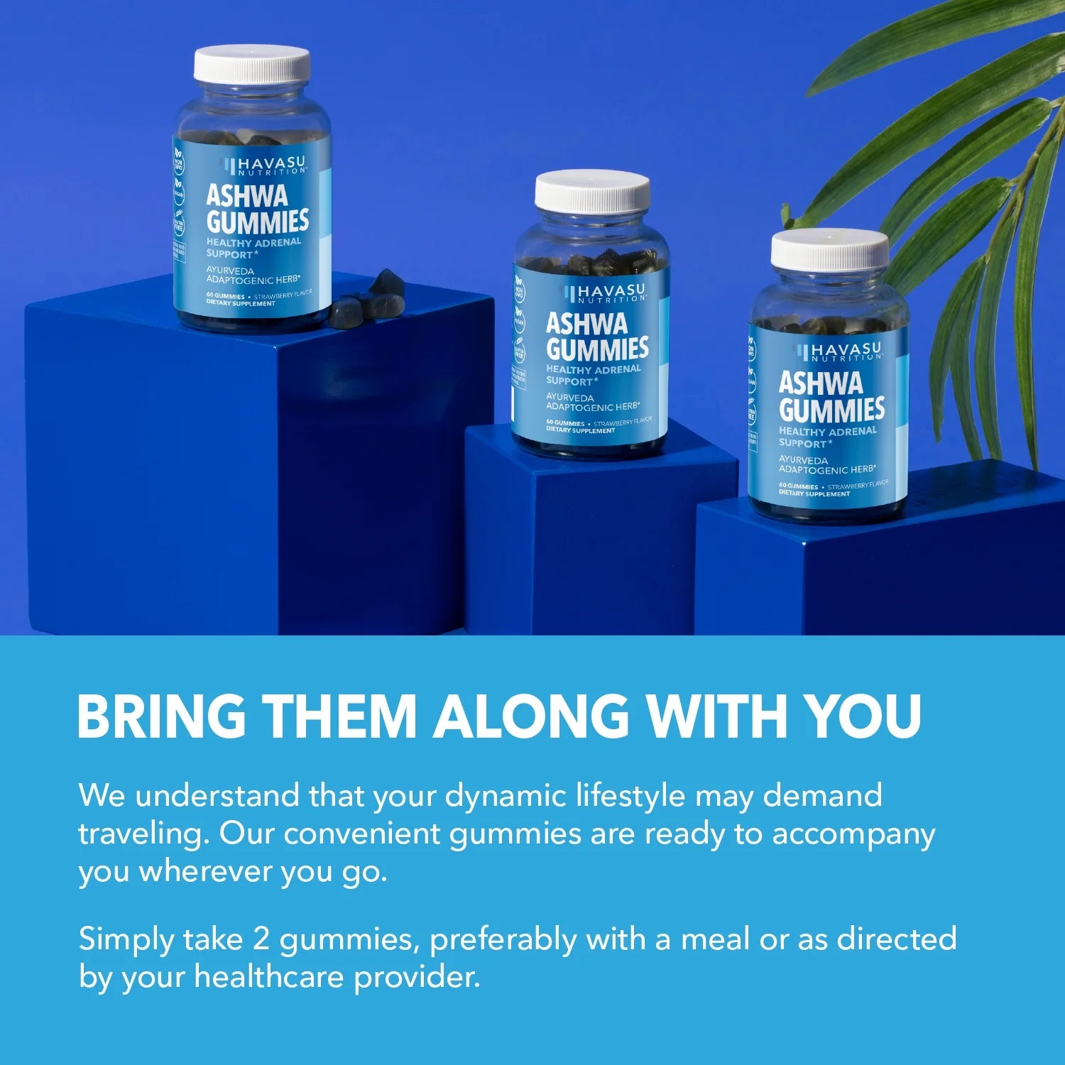 Havasu - Ashwagandha Gummies, Stress Relief for Adults - Vegan Gummies, 60 Gummies
