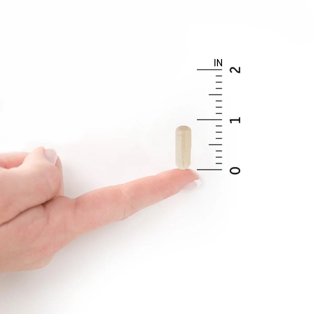 Dr. Formulated Probiotics Mood+, 60 Capsules