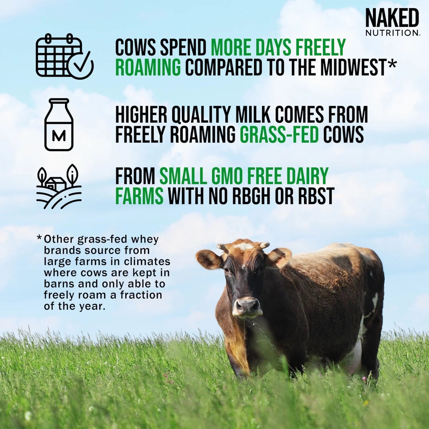 NAKED - Vanilla Whey Protein 1Lb, Only 3 Ingredients, All Natural Grass Fed Whey Protein Powder + Vanilla + Coconut Sugar- Gmo-Free, Soy Free, Gluten Free. Aid Muscle Growth, 12 Servings