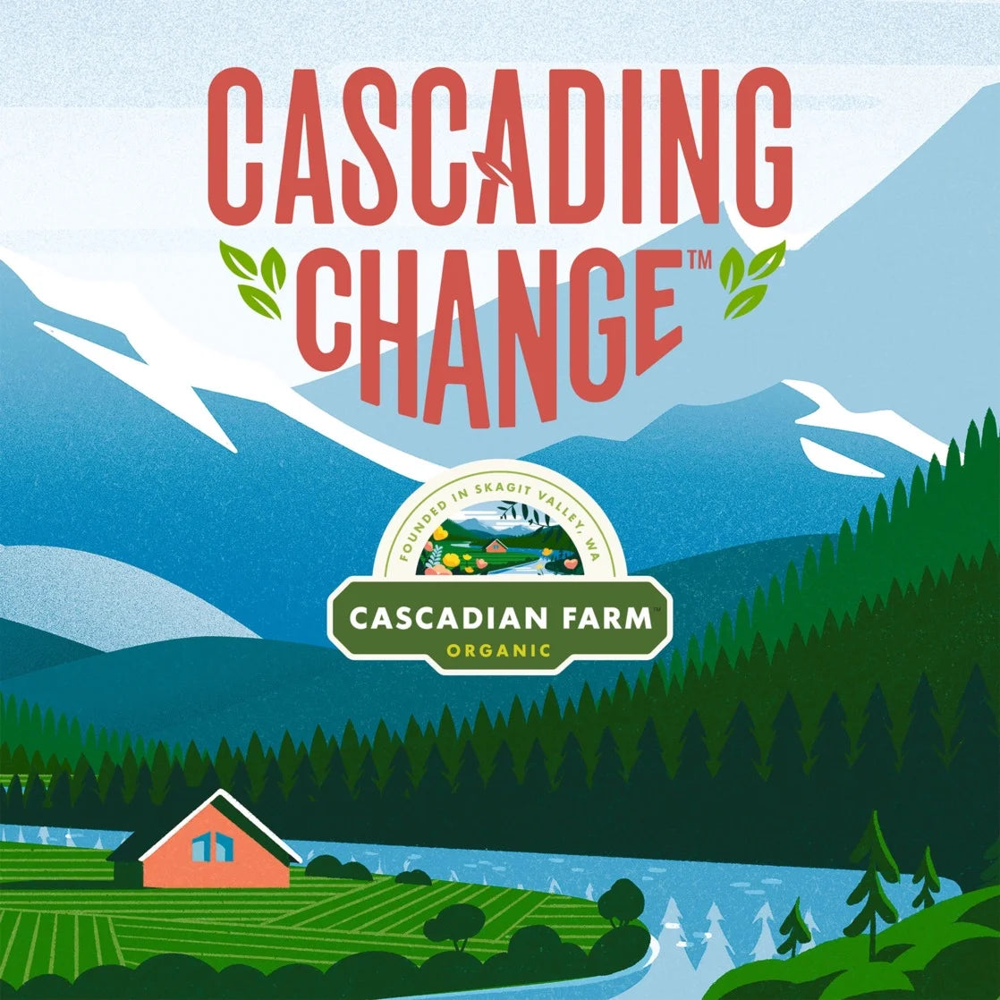 Cascadian Farm - Organic Vanilla Chip Chewy Granola Bars, Value Size, 10 Bars, 12.3 Oz.