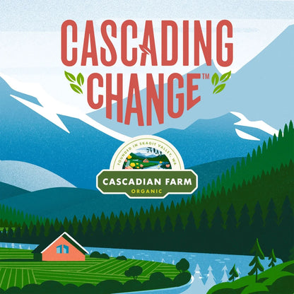 Cascadian Farm - Organic Vanilla Chip Chewy Granola Bars, Value Size, 10 Bars, 12.3 Oz.