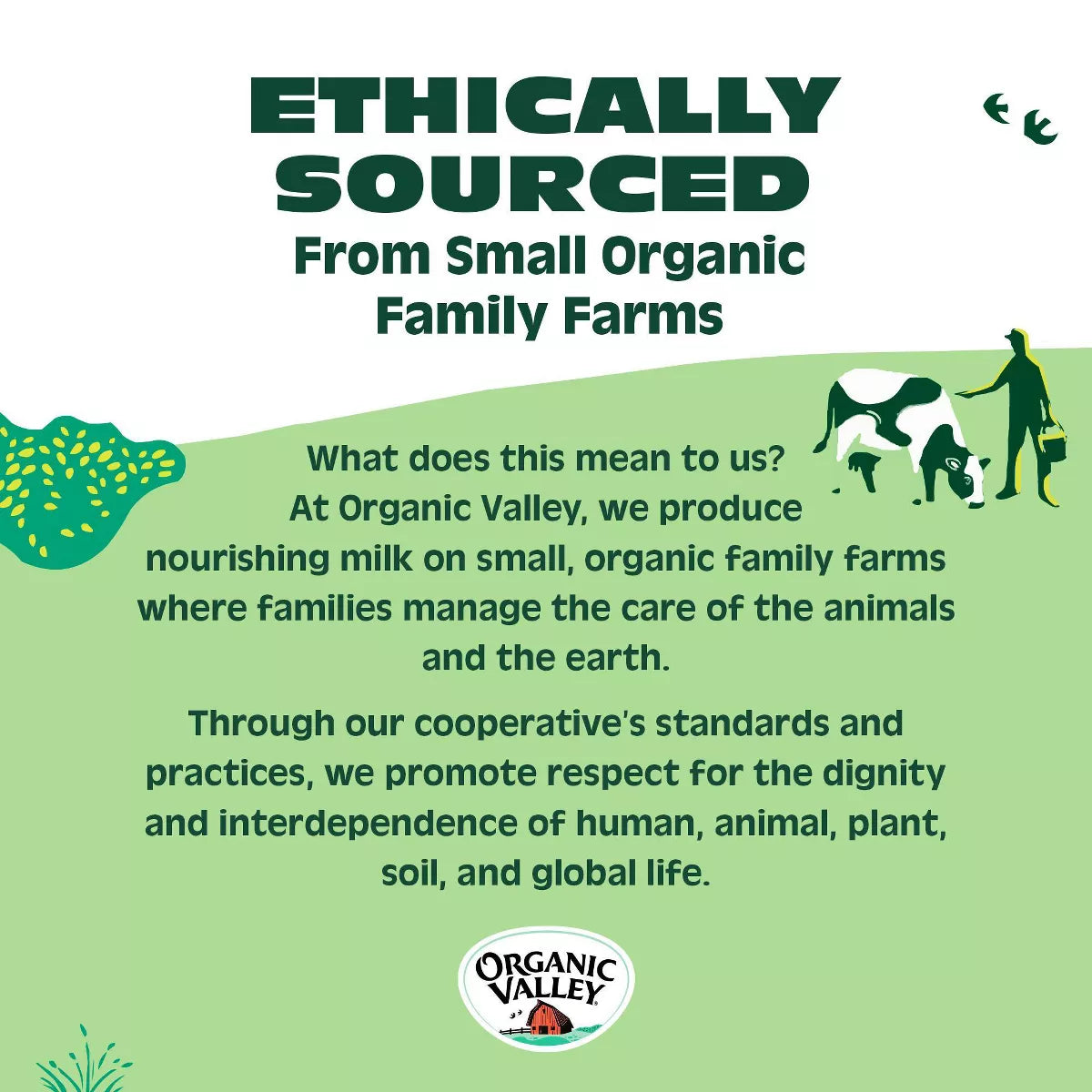 Organic Valley - 3 Cheese Mexican Thick Shredded Cheese - 6Oz