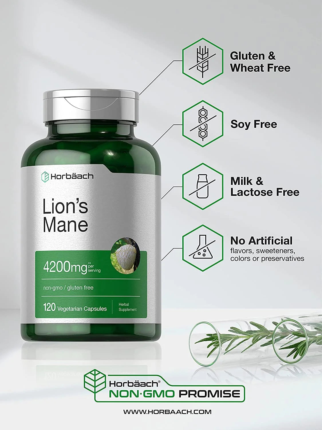 Hoorbach - Lions Mane Mushroom - 120 Capsules for Men and Women